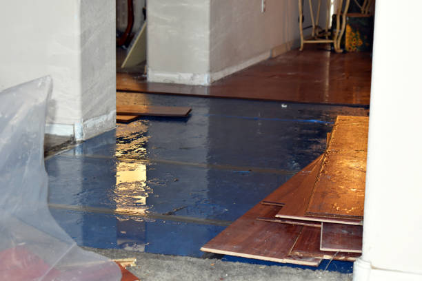 Professional Sewage Cleanup technician working in Vermontville, MI